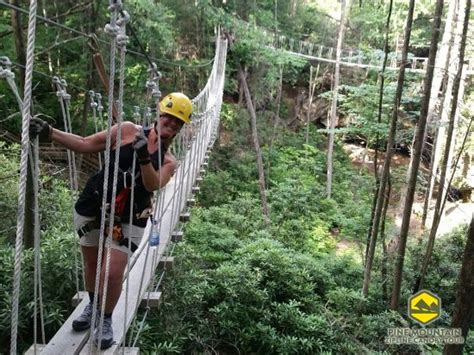 Pine Mountain Zipline Canopy Tour (Pineville) - All You Need to Know ...