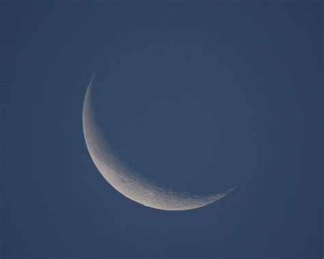 Waning Crescent Moon and Venus - 19 June, 2009