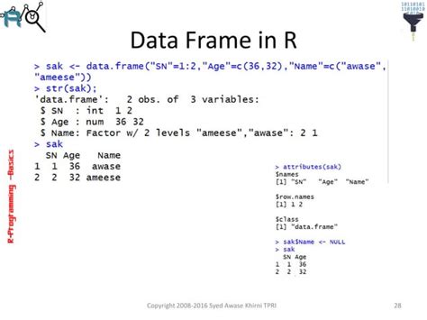 Basic R Programming 的图像结果