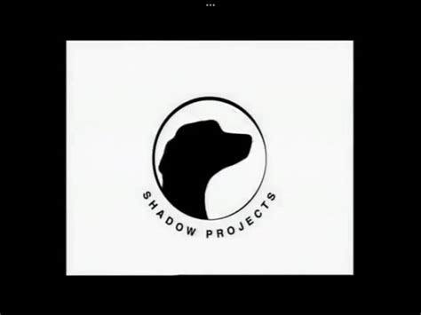 Image result for Shadow Projects Logo Evolution