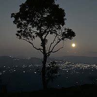 REIEK HERITAGE VILLAGE Guide (2026) All You Need to Know BEFORE You Go ...