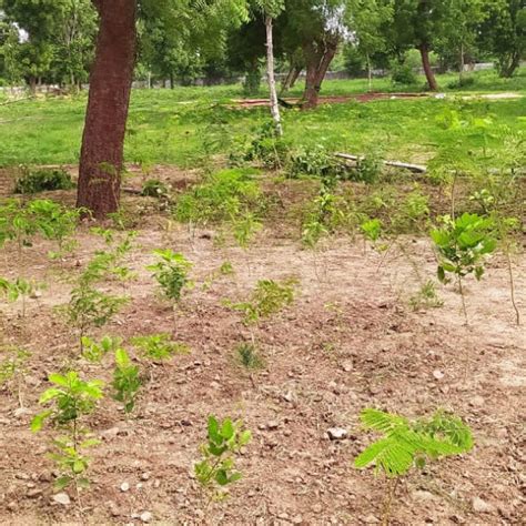 Group Landmark's ROAR (Reduce to Zero, Add Responsibility) Initiative ...