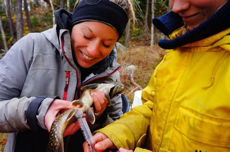 International Institute for Sustainable Development Office Photos ...