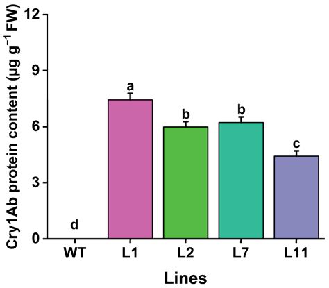 Genetic Transformation of Torenia fournieri L. with the Bacillus ...