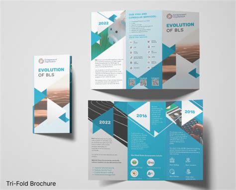 BLS international - Case study for Social media management