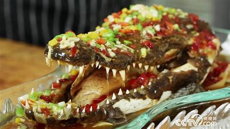 美食来了：鳄鱼肉你敢吃吗？_三农频道_央视网(cctv.com)