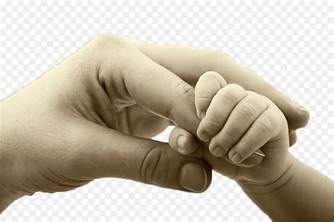 紧握妈妈手的婴儿PNG图片素材下载_图片编号qoljnxbe-免抠素材网