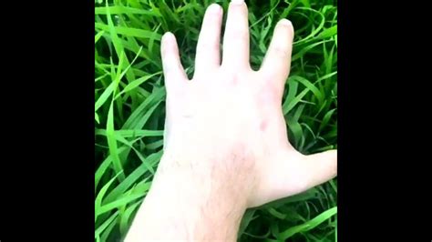 Touching Grass Tutorial 的图像结果