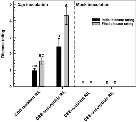 The Induction of the Isoflavone Biosynthesis Pathway Is Associated with ...