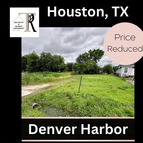 Hidden Gems of Denver Harbor-Terra Point Realty