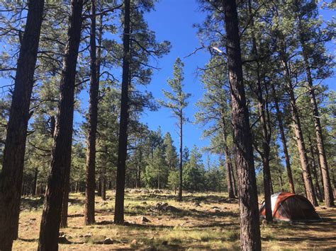 Kaibab National Forest Kaibab Lake Campground | The Dyrt
