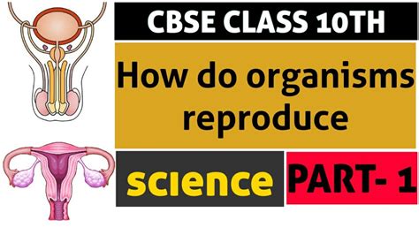 Image result for Reproduction Class 10 Videos