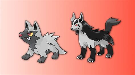 Image result for Poochyena Evolution Level