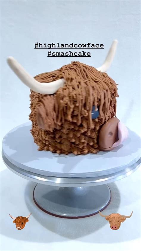 Image result for Cow Cake Tutorial