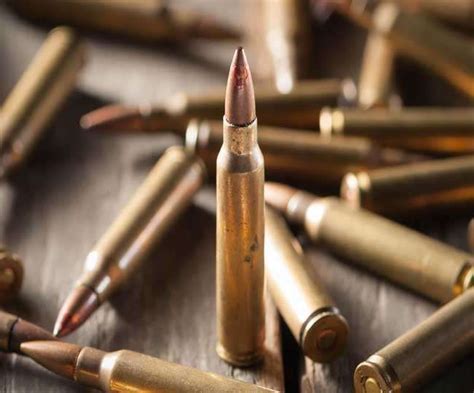 केरल में राइफलें और कारतूस गायब होने की CAG रिपोर्ट पर राज्यपाल बोले ...