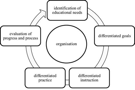 Image result for Differentiation Task Cycle