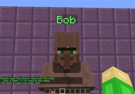 Shopkeeper Plugin Tutorial 的图像结果