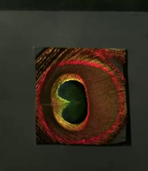 How Animals See Color 的图像结果