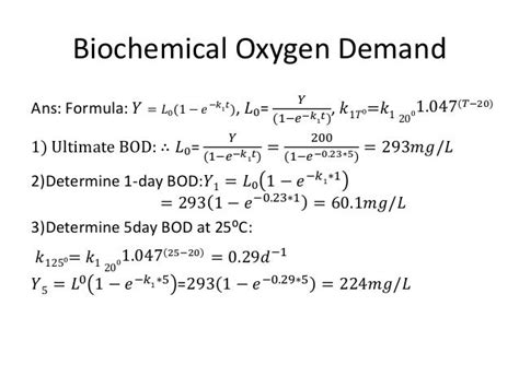 Bod Calculation Formula 的图像结果