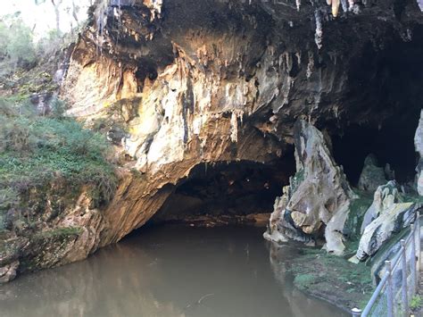 THE 30 BEST Places to Visit in Bathurst (2025) - Must-See Attractions