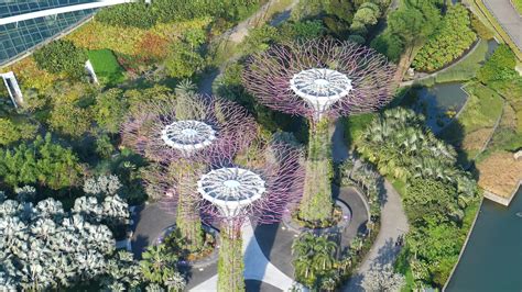 Botanic Gardens Singapore