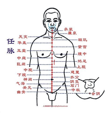 中医常见病脉：弦脉等12种脉象与主病汇总（建议收藏）