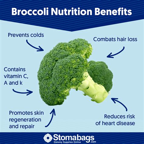 Health Benefits Of Broccoli Dr Axe at David Daigle blog