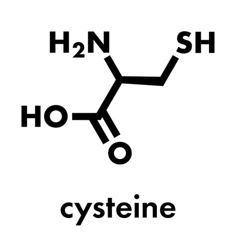 L-Cysteine Benefits 2025: Boost Hair, Immunity & Heart Health ...