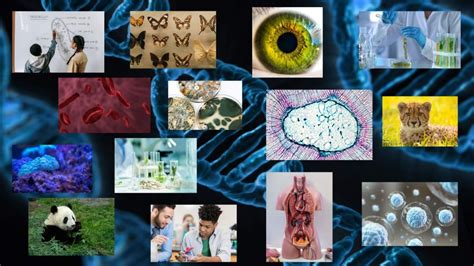 Interesting Genetics 的图像结果