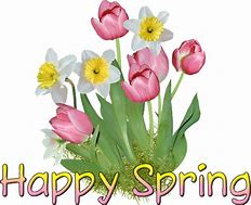Image result for Happy First Day of Spring Animals
