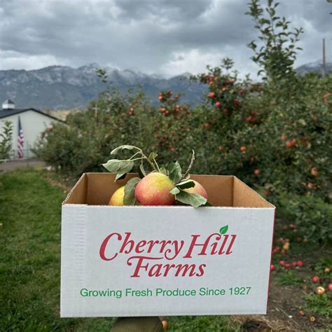 Cherry Hill Farms – Burgess Orchards | Agritourism