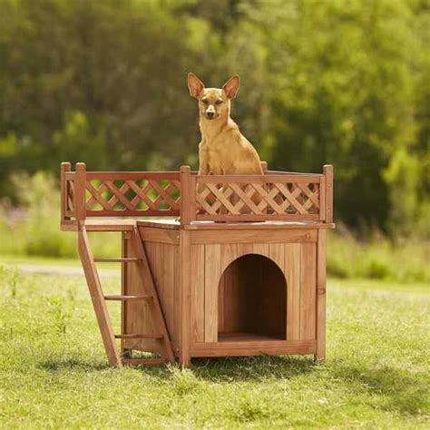 Dog House Ideas for the Special Pup in Your Life
