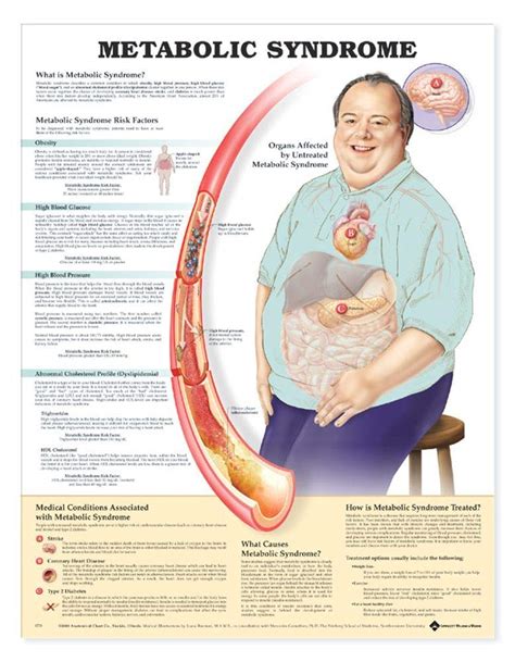 Buy Metabolic Syndrome Book Online at Low Prices in India | Metabolic ...
