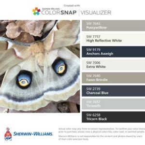 Image result for SW Color Snap Visualizer