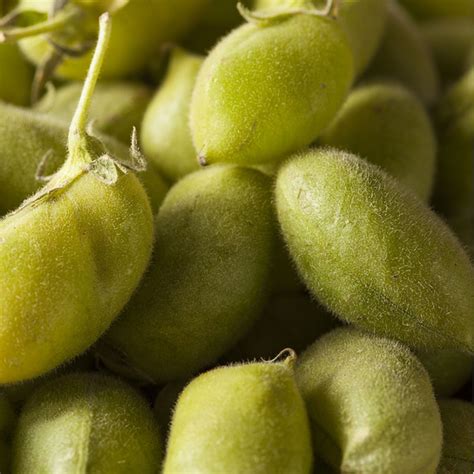 Organic Fresh Garbanzo Beans (per lb) Delivery or Pickup Near Me ...
