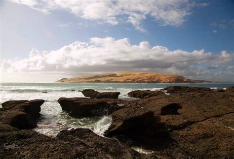 The history of New Zealand | 100% Pure New Zealand