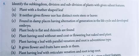 identify the subkingdom,division and sub-division of plants - Brainly.in