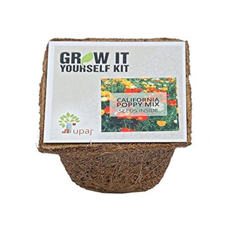 Ready To Grow Kits - Poppy (Small)
