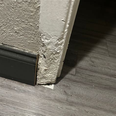 LA QUINTA INN BY WYNDHAM SAN ANTONIO LACKLAND - Motel Reviews, Photos ...