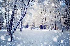 Falling Snow Image by Nyip Photo Articles Photographing Falling Snow Falling Snow Image