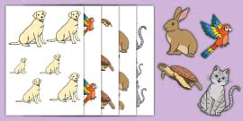 Pets KWL Chart