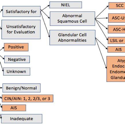 Image result for Pathology Classification System