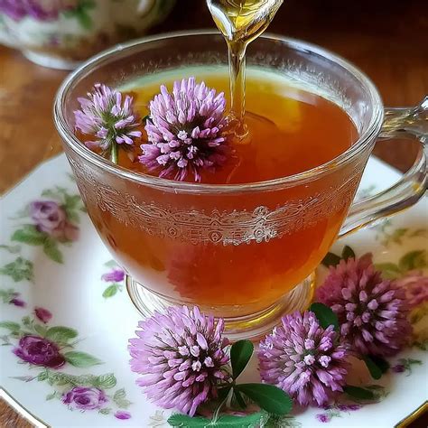 Red Clover Tea: Your Complete Guide to Benefits, Brewing and Safe Enjoyment