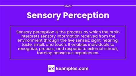 Perception Examples 的图像结果