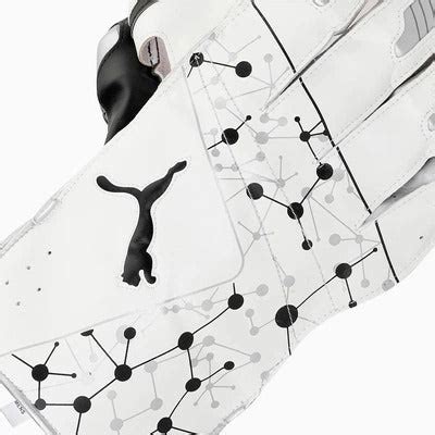 PUMA Future 20.2 Cricket Wicket Keeping Gloves – Khelomore Shop