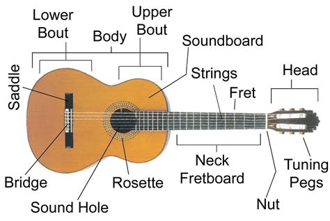 Image result for D Tuning a 12 String