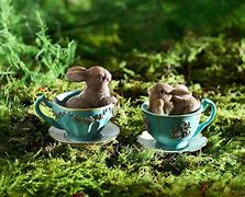 Image result for The Bunny Tea Cup Bunnies