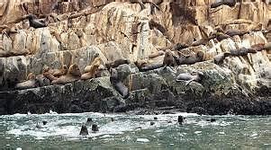 LAS LOBERAS (2026) All You Need to Know BEFORE You Go (with Photos ...