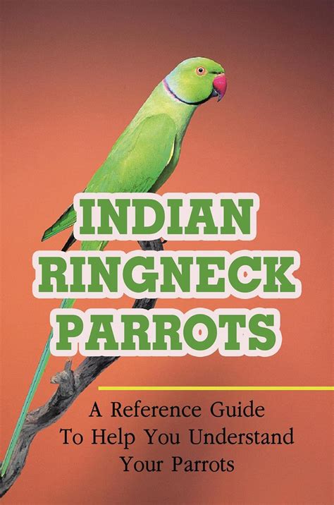Indian Ringneck Parrots: A Reference Guide To Help You Understand Your ...