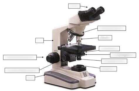 Image result for Compound Microscope Diagram Class 12